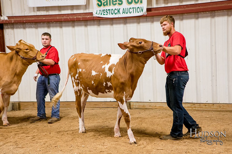 LCFAIR-081718-6583.jpg