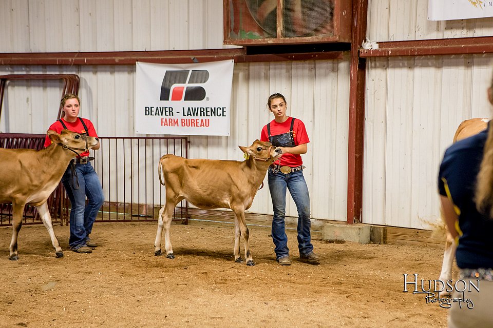LCFAIR-081718-6584.jpg