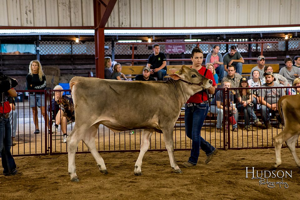 LCFAIR-081718-6613.jpg