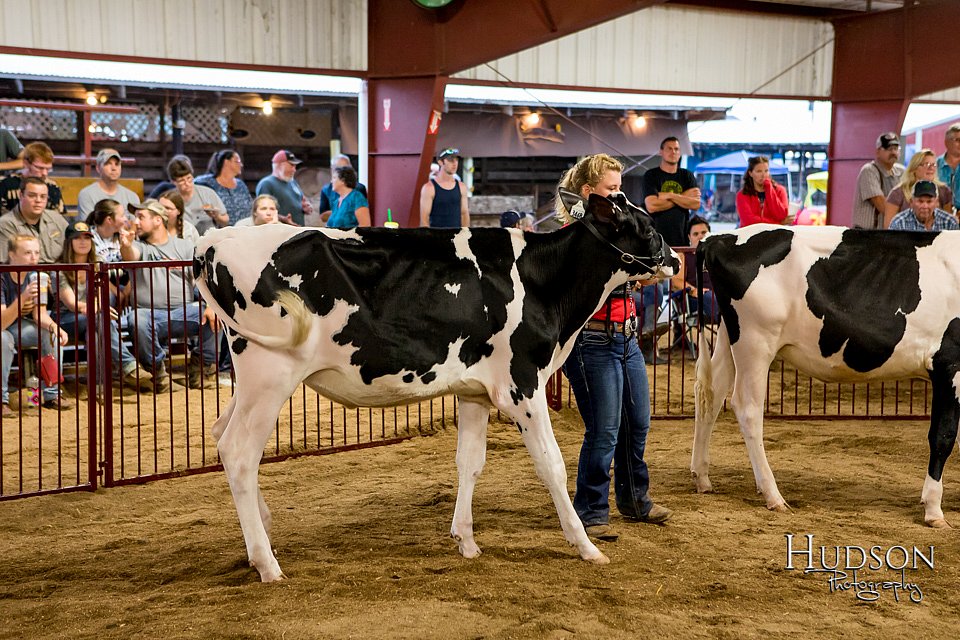 LCFAIR-081718-6622.jpg