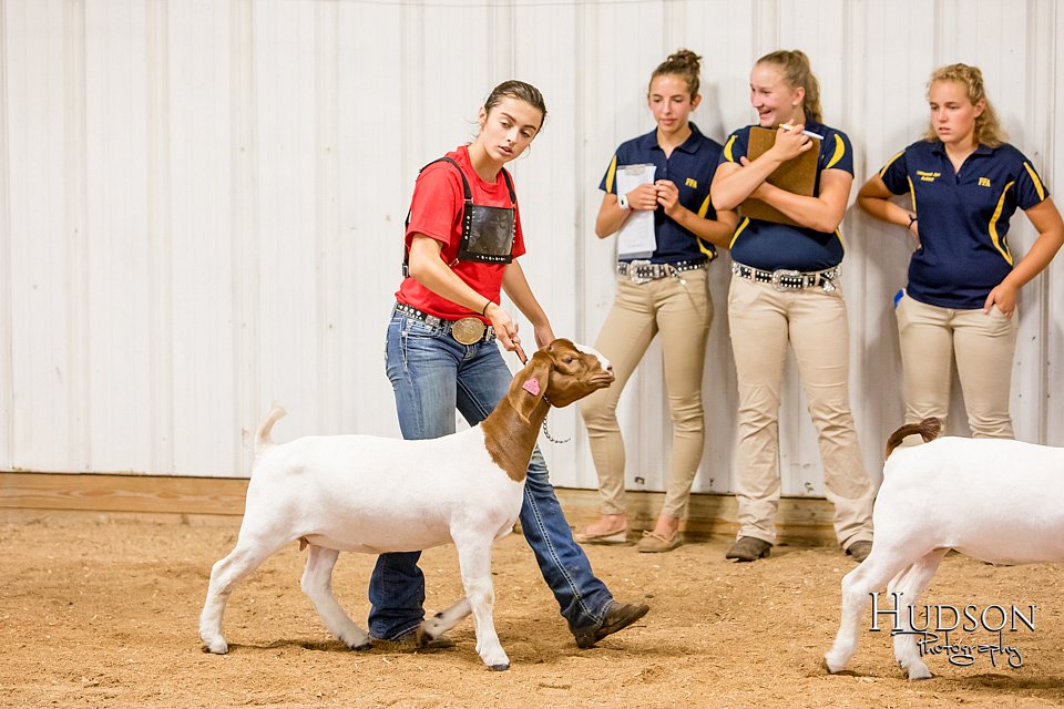 LCFAIR-081718-6742.jpg