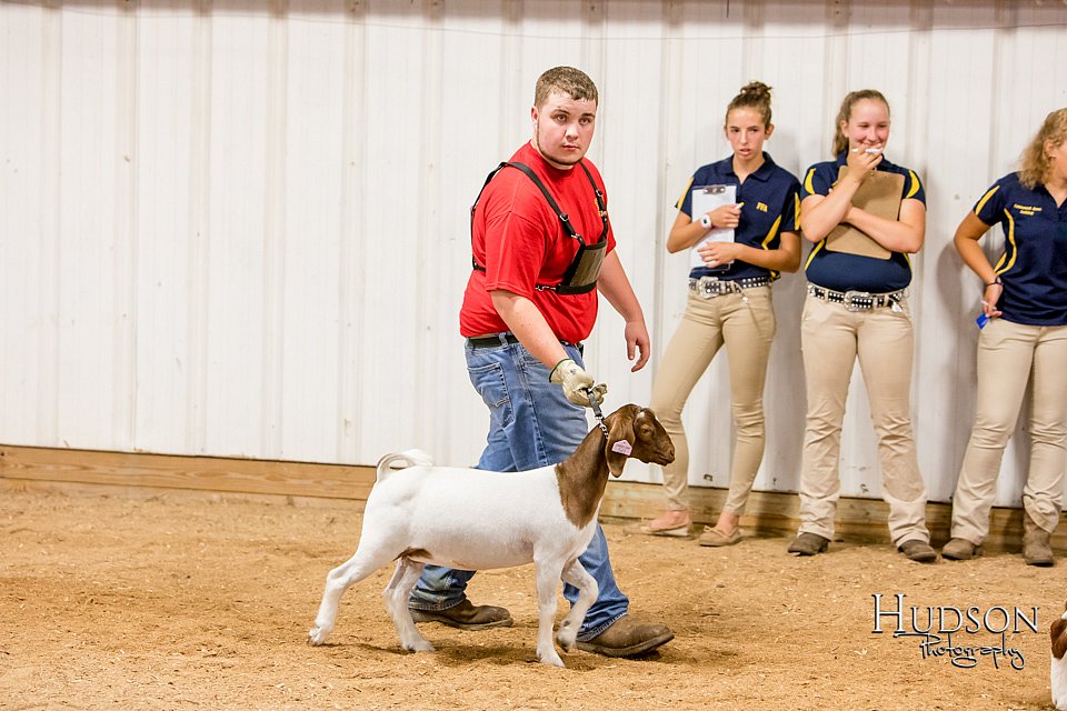 LCFAIR-081718-6753.jpg