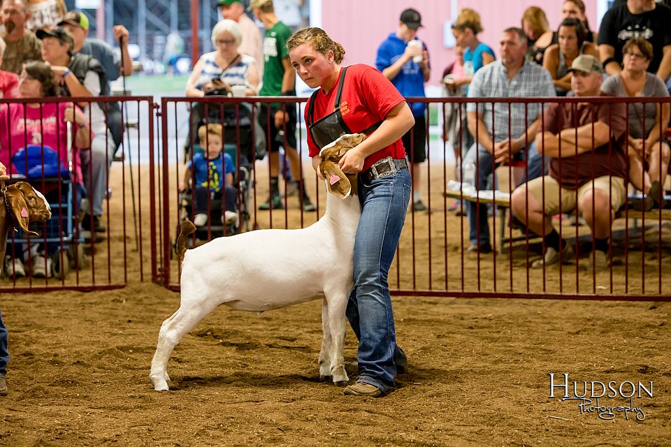 LCFAIR-081718-6759.jpg