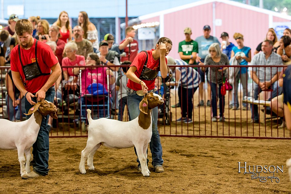 LCFAIR-081718-6780.jpg