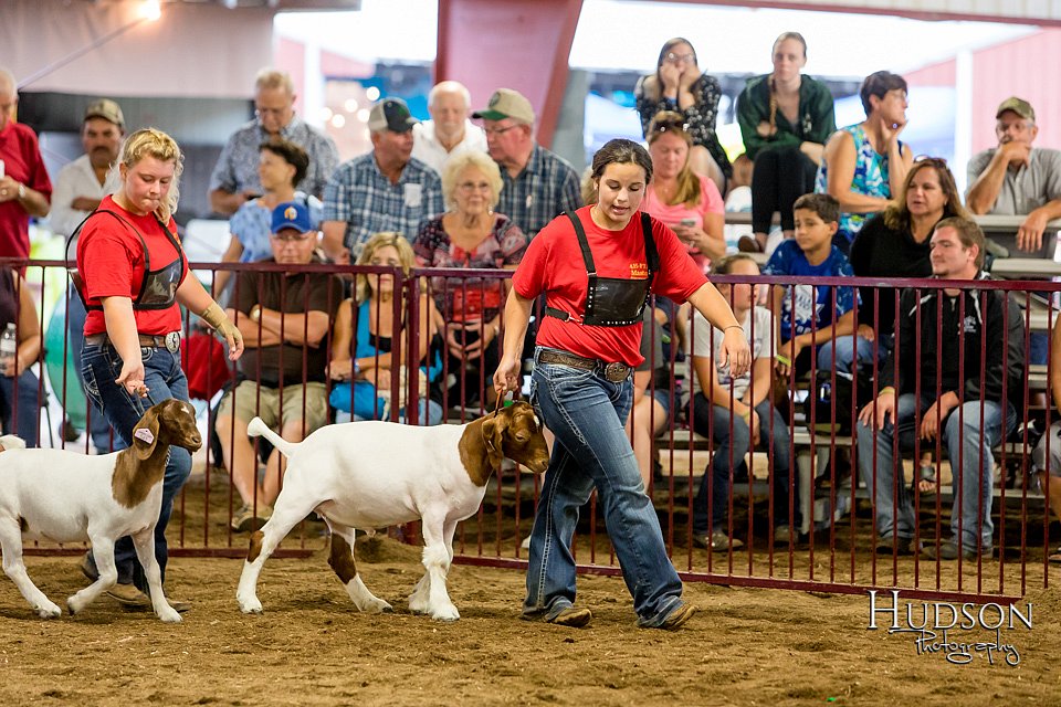 LCFAIR-081718-6801.jpg