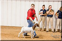 LCFAIR-081718-6753.jpg