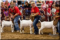LCFAIR-081718-6770.jpg