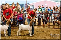 LCFAIR-081718-6783.jpg