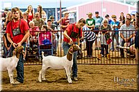 LCFAIR-081718-6784.jpg