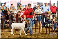 LCFAIR-081718-6795.jpg