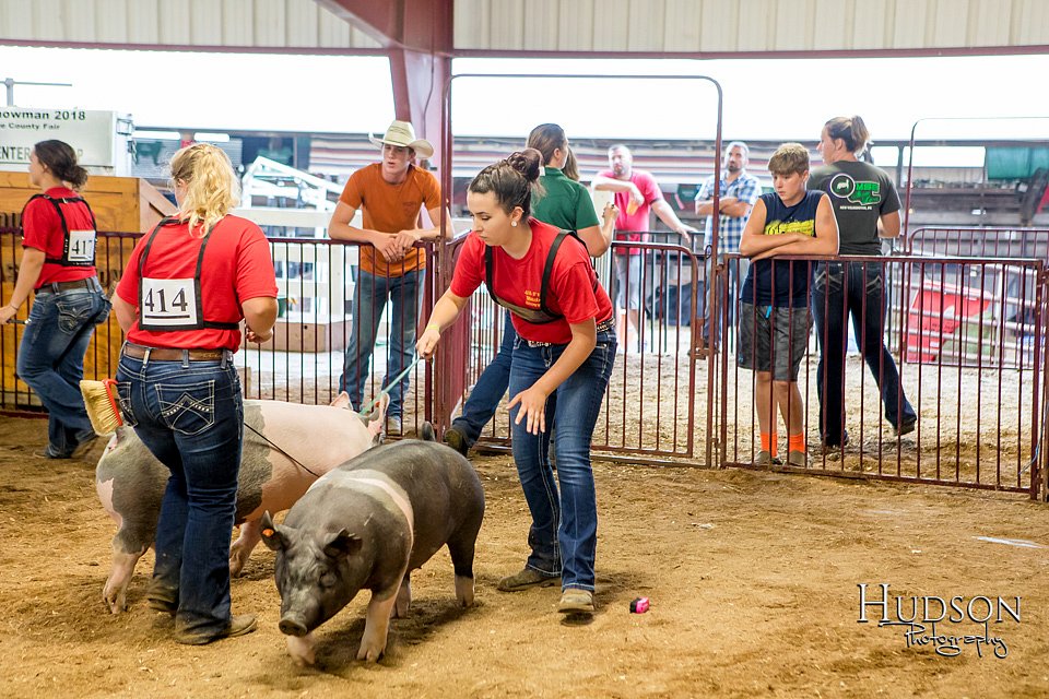 LCFAIR-081718-6466.jpg