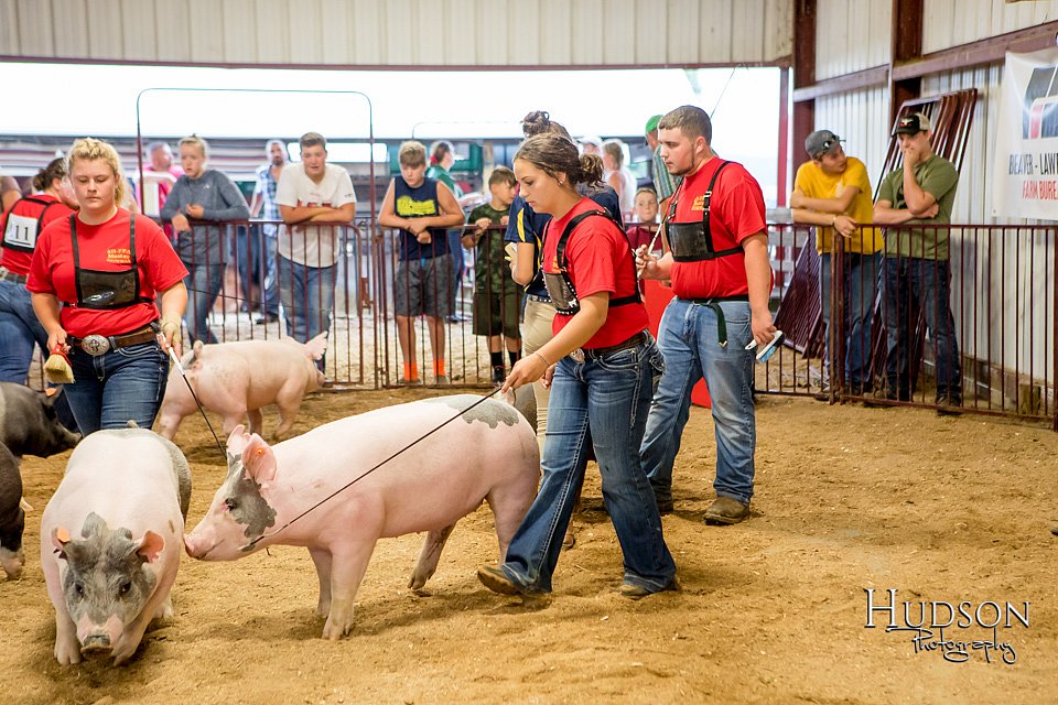LCFAIR-081718-6492.jpg