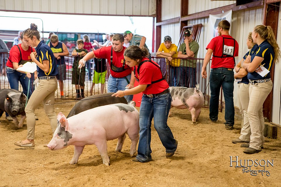 LCFAIR-081718-6495.jpg