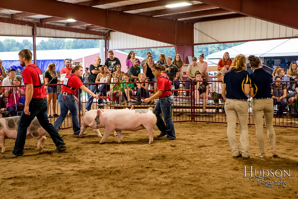 LCFAIR-081718-6553.jpg