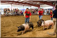 LCFAIR-081718-6453.jpg