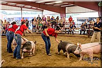 LCFAIR-081718-6459.jpg