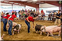 LCFAIR-081718-6460.jpg