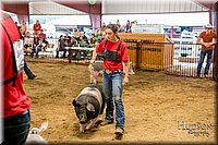 LCFAIR-081718-6474.jpg
