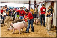 LCFAIR-081718-6494.jpg