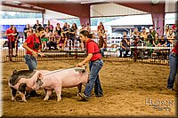 LCFAIR-081718-6525.jpg