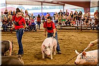 LCFAIR-081718-6529.jpg
