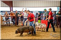LCFAIR-081718-6533.jpg
