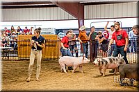 LCFAIR-081718-6536.jpg