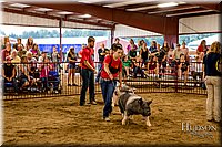 LCFAIR-081718-6561.jpg
