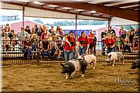 LCFAIR-081718-6565.jpg