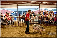 LCFAIR-081718-6569.jpg
