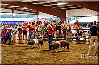 LCFAIR-081718-6573.jpg