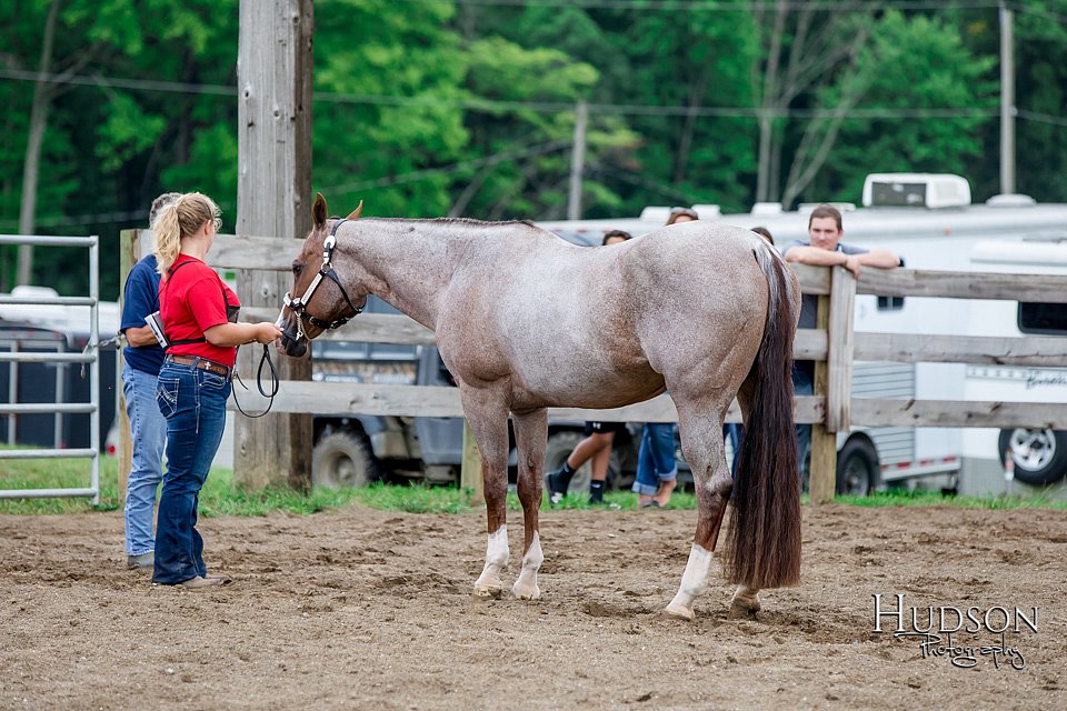 LCFAIR-081718-6310.jpg