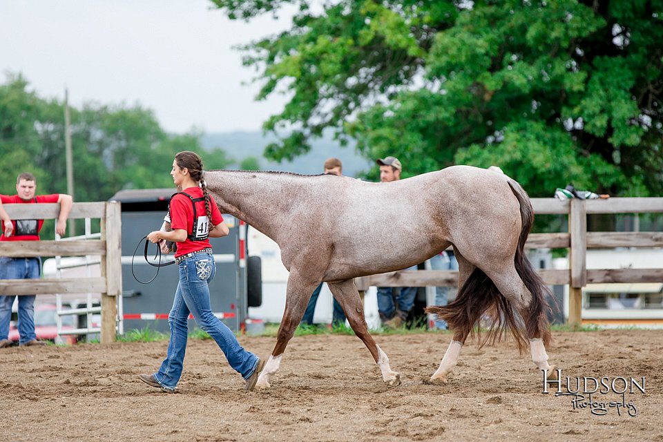 LCFAIR-081718-6328.jpg