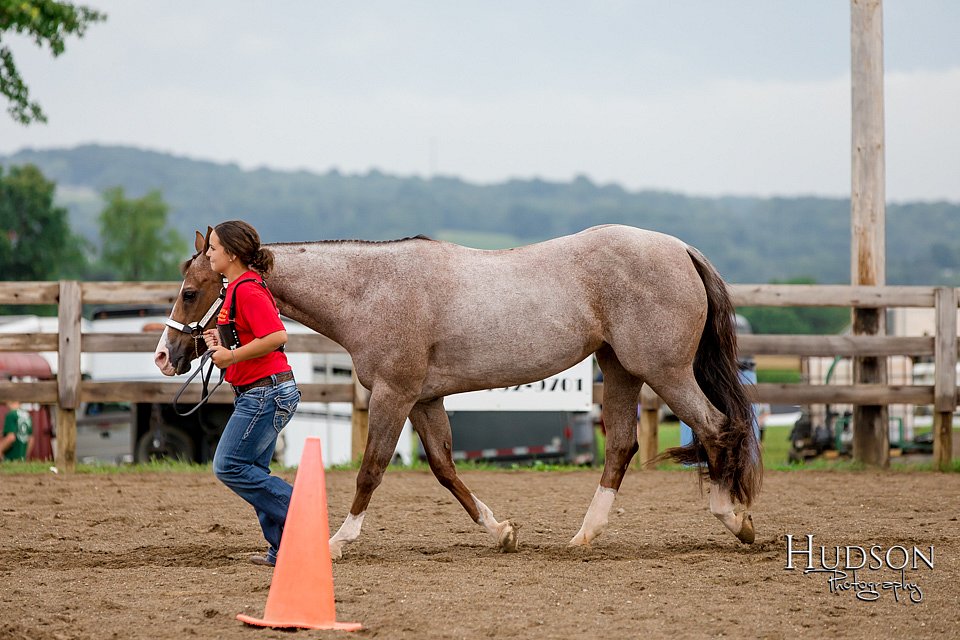 LCFAIR-081718-6348.jpg