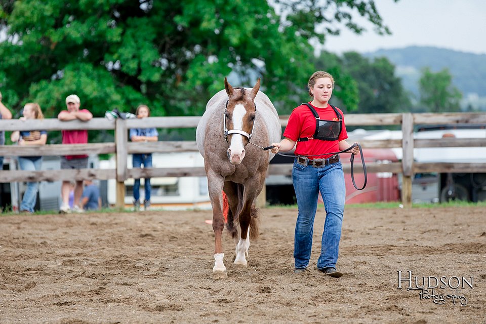 LCFAIR-081718-6360.jpg