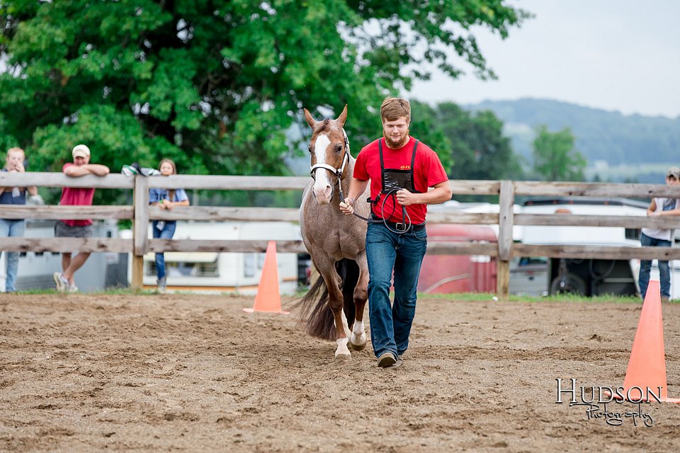 LCFAIR-081718-6385.jpg