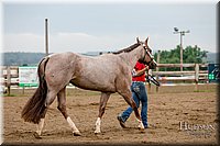 LCFAIR-081718-6320.jpg