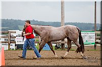 LCFAIR-081718-6413.jpg