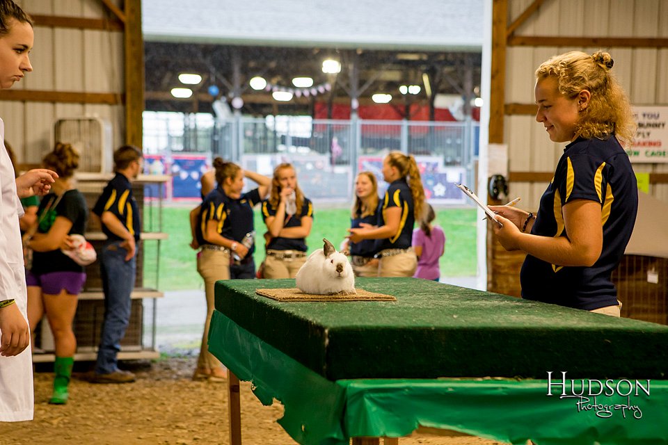 LCFAIR-081718-6196.jpg