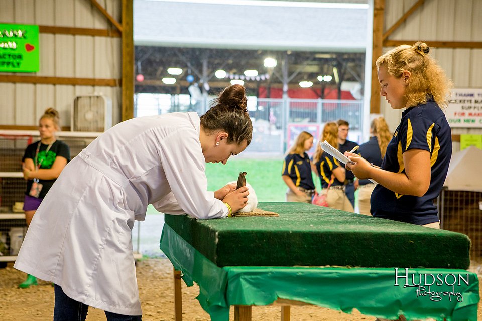 LCFAIR-081718-6205.jpg