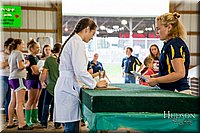 LCFAIR-081718-6252.jpg