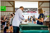 LCFAIR-081718-6291.jpg
