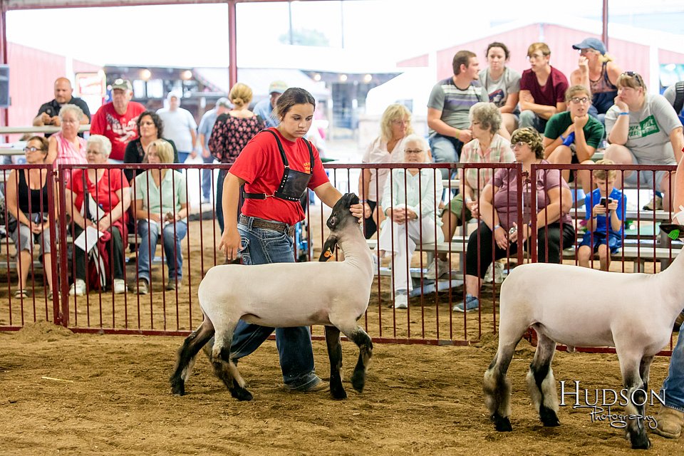 LCFAIR-081718-6665.jpg