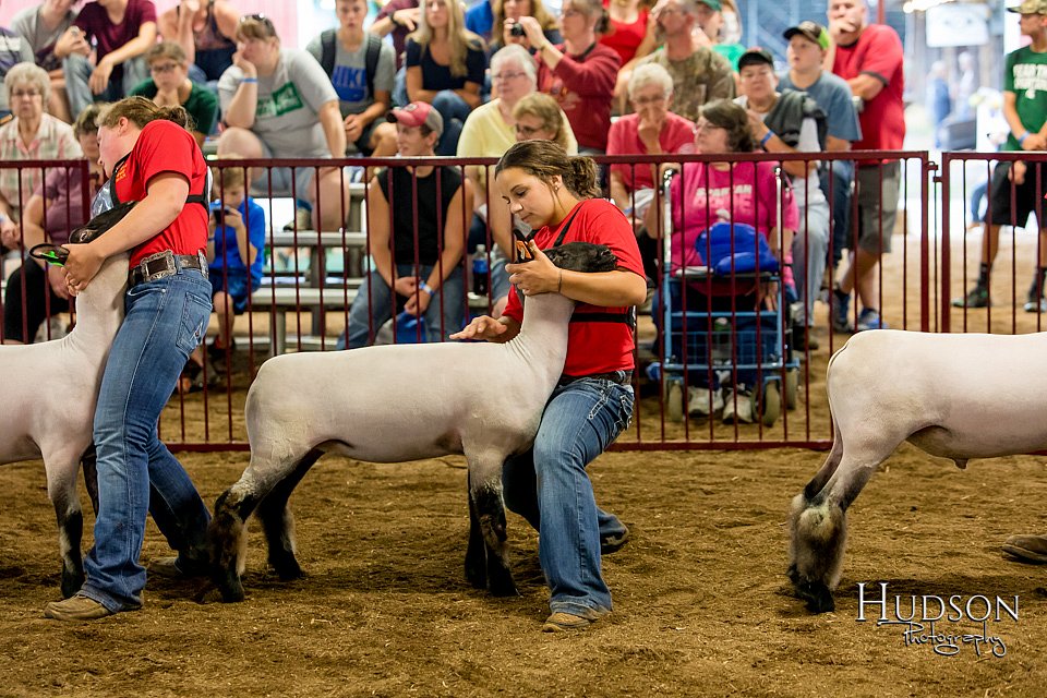 LCFAIR-081718-6679.jpg