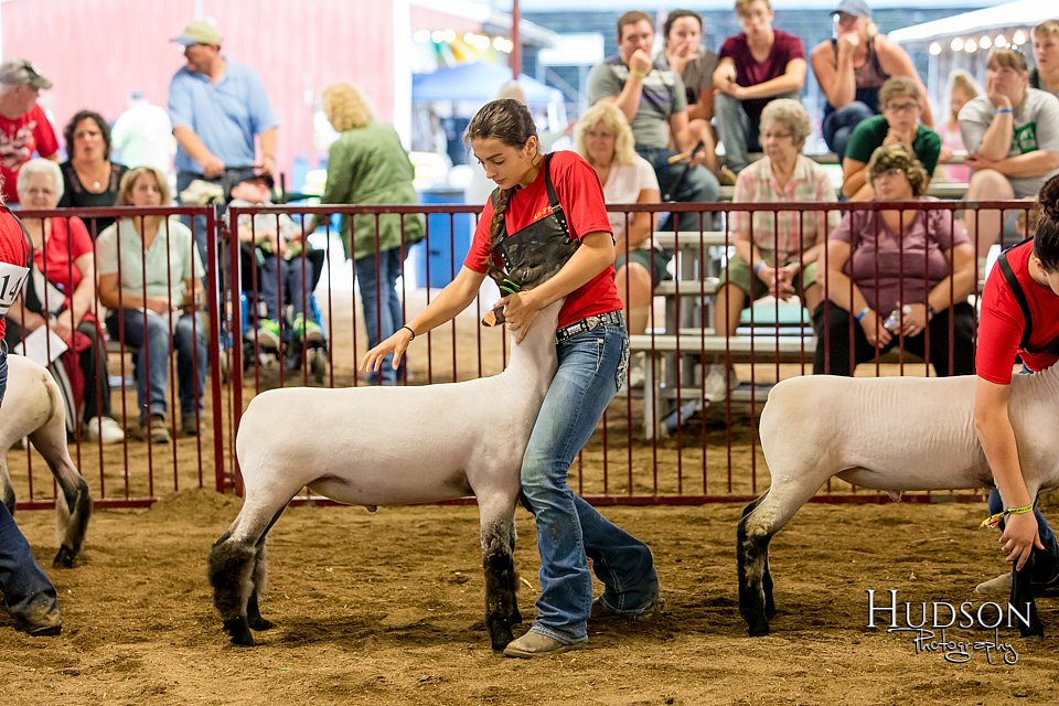 LCFAIR-081718-6685.jpg