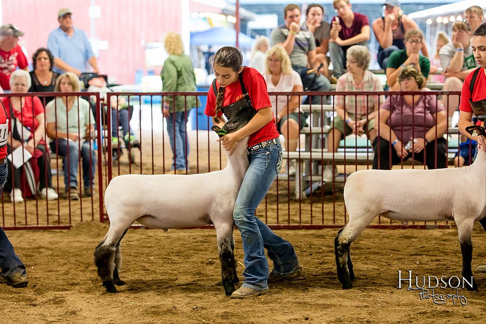 LCFAIR-081718-6687.jpg