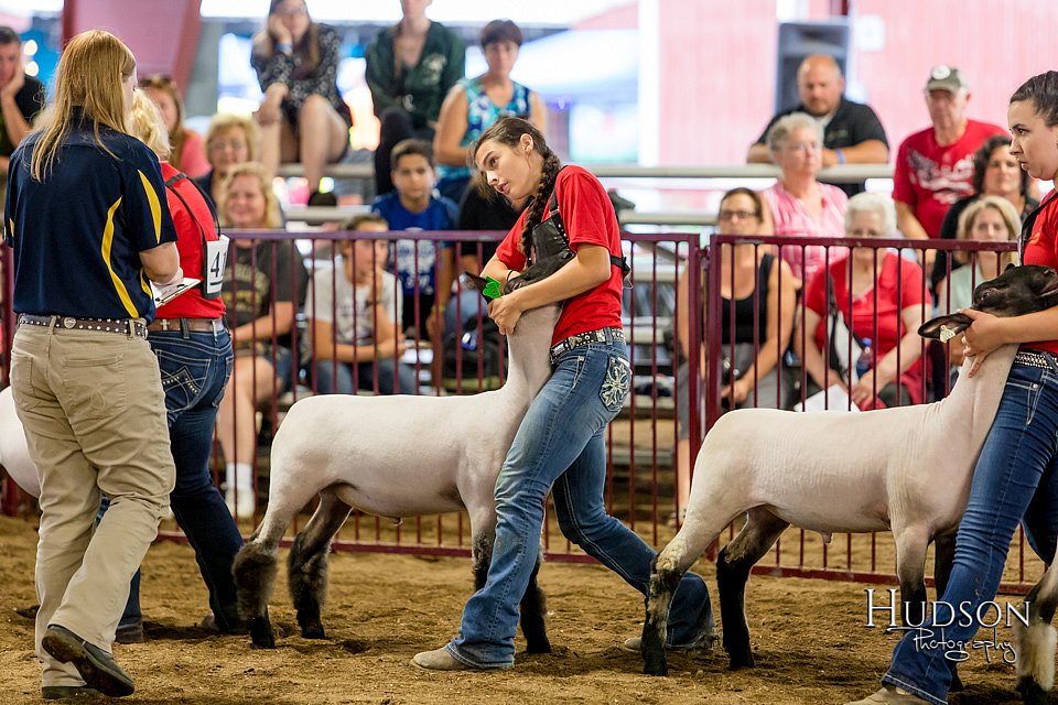 LCFAIR-081718-6703.jpg