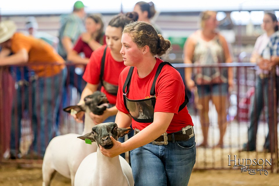 LCFAIR-081718-6718.jpg