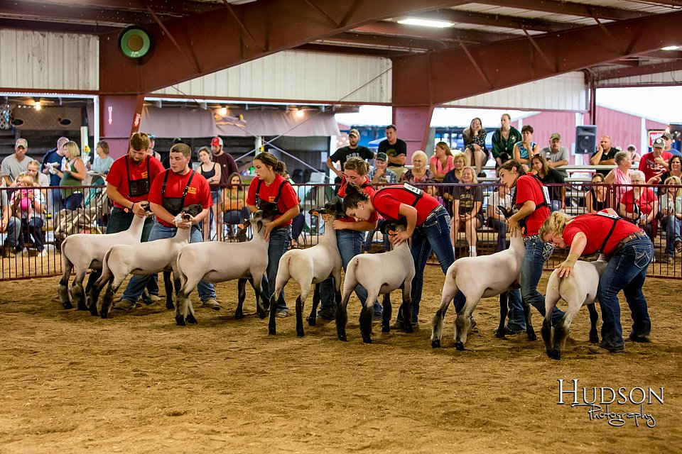 LCFAIR-081718-6724.jpg