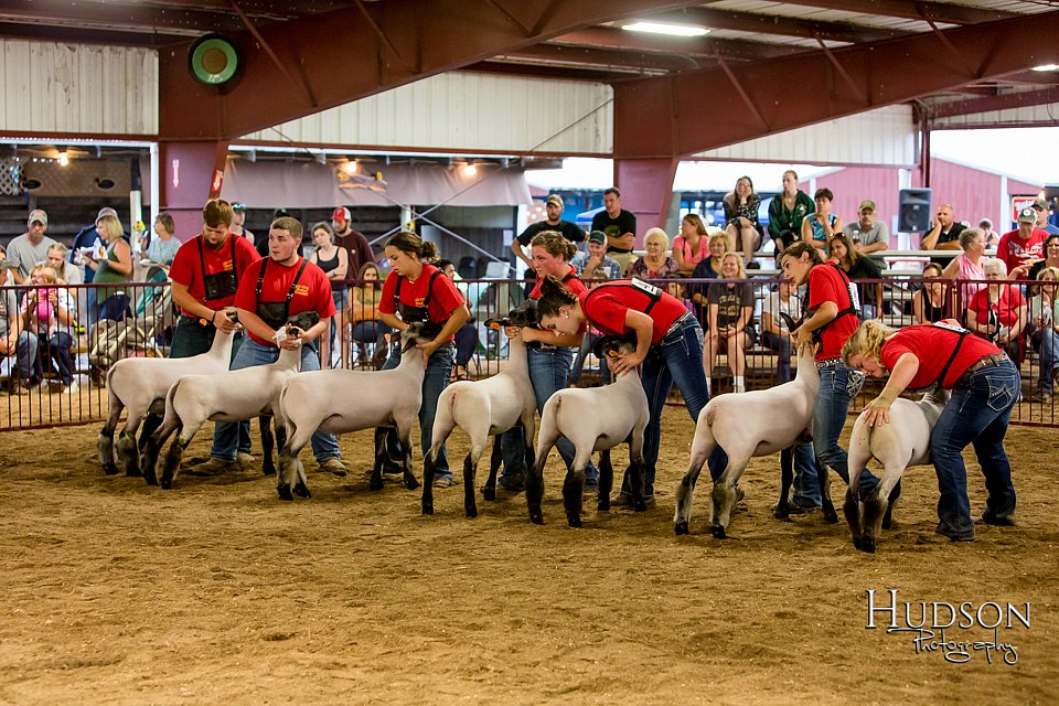LCFAIR-081718-6725.jpg
